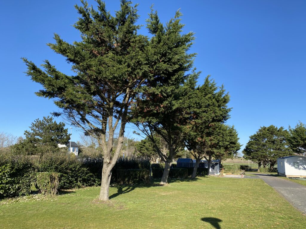 camping granville